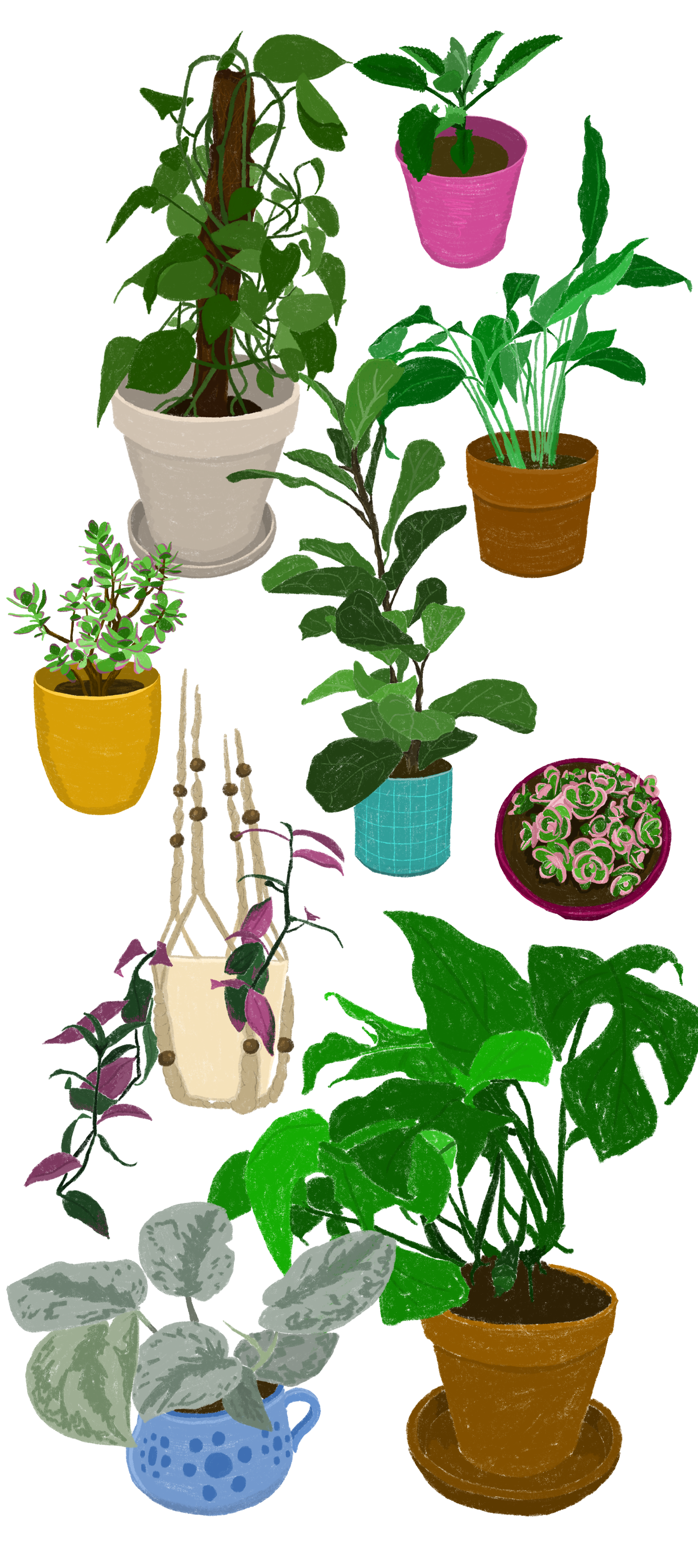 Image 3 du projet jardin des prénoms